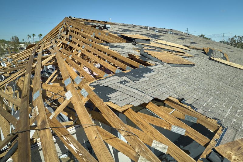 Damaged Roof Repair