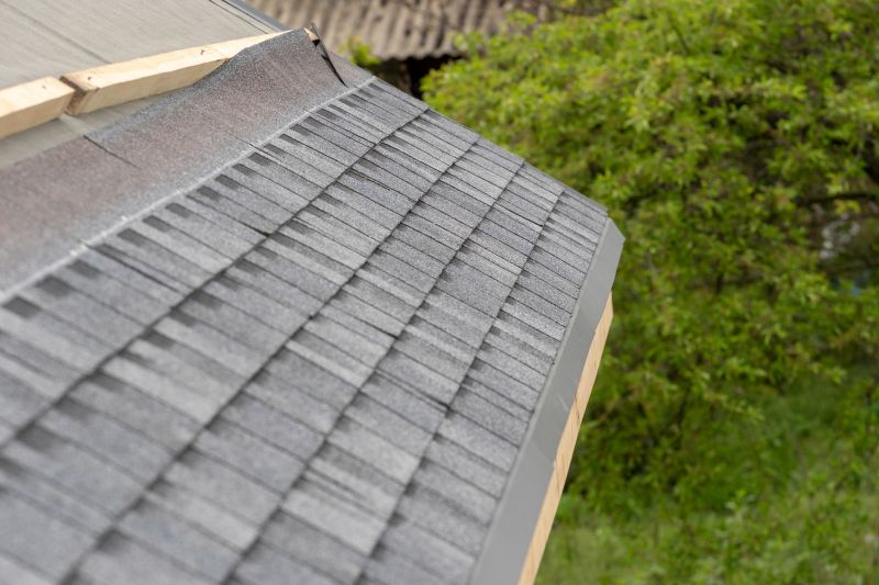 Asphalt Roof Repair detail