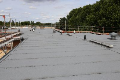 Damaged Roof Replacement detail