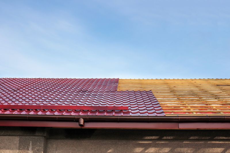 Metal Roof Repair detail