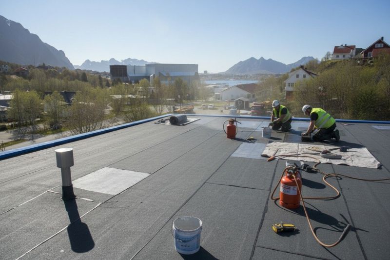 Single Ply Roof Repair